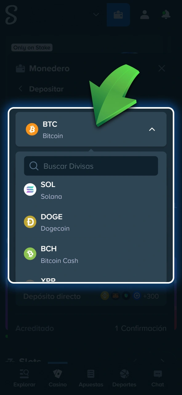 Seleccioná tu método de pago o criptomoneda preferida para depositar en Stake.