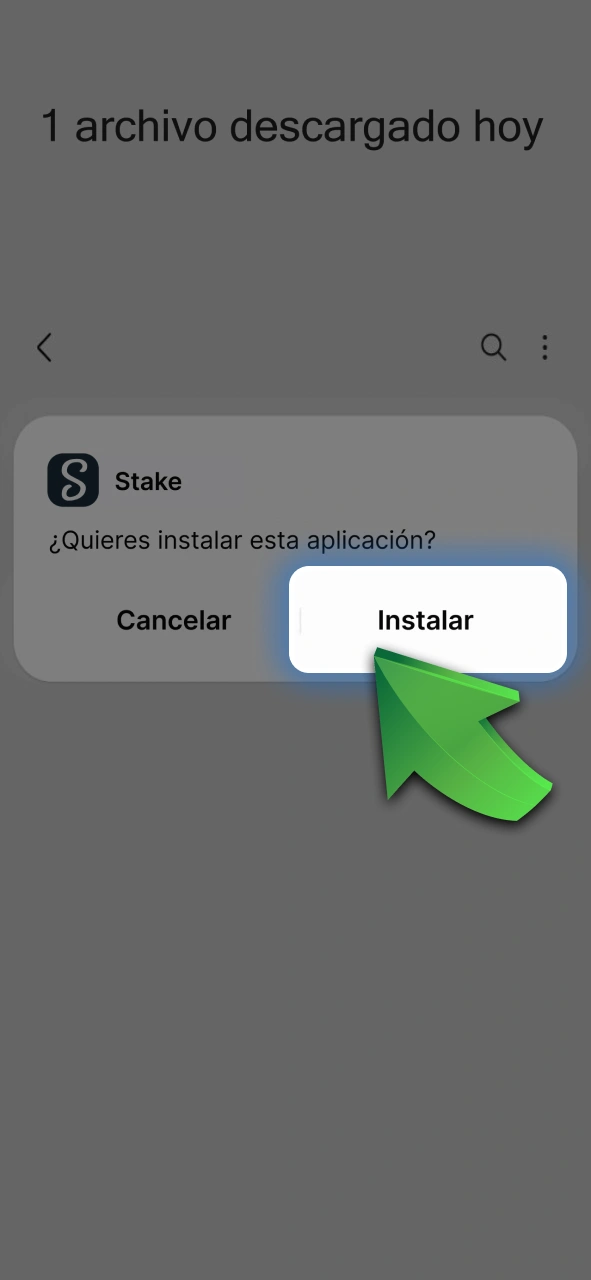 Descargá e instalá la app oficial de Stake en tu dispositivo móvil.